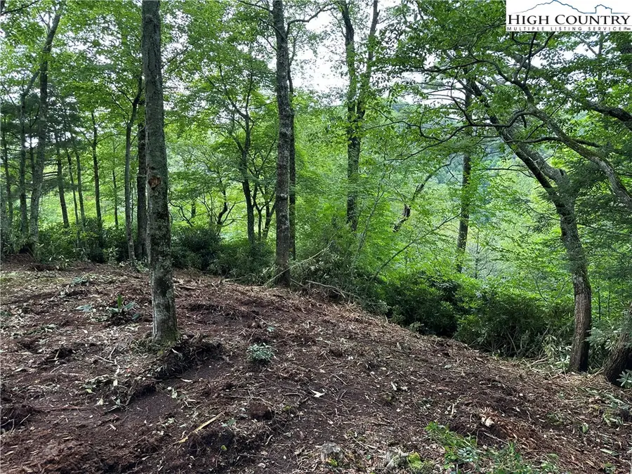 Lot 135R Firethorn Trail, Blowing Rock, NC 28605 - Image #2