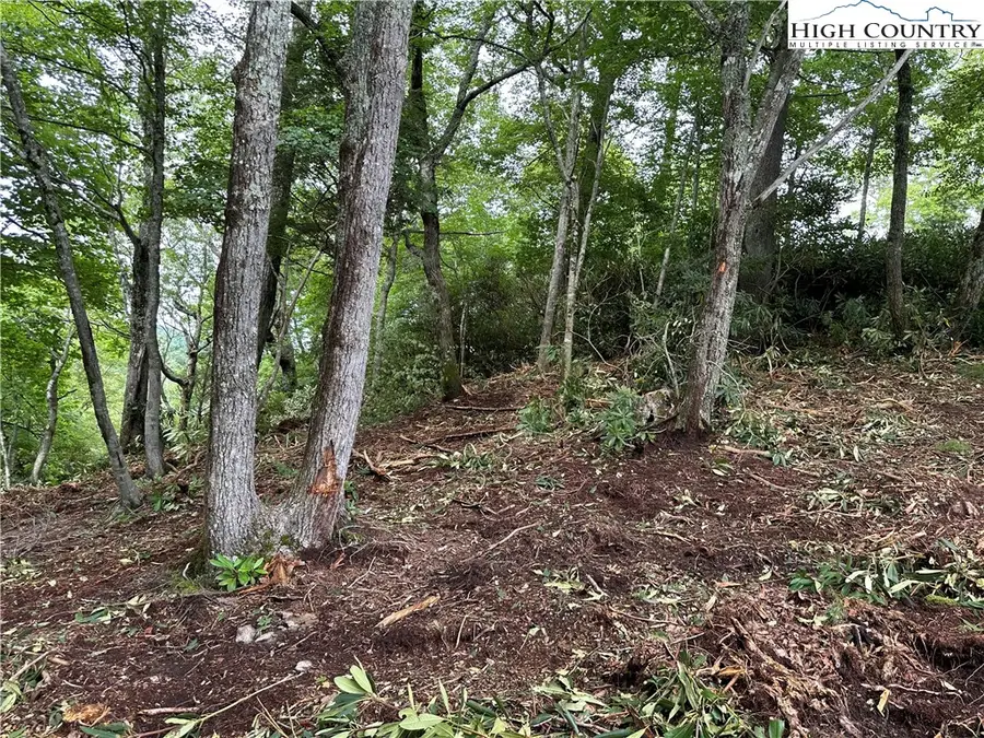Lot 135R Firethorn Trail, Blowing Rock, NC 28605 - Image #3