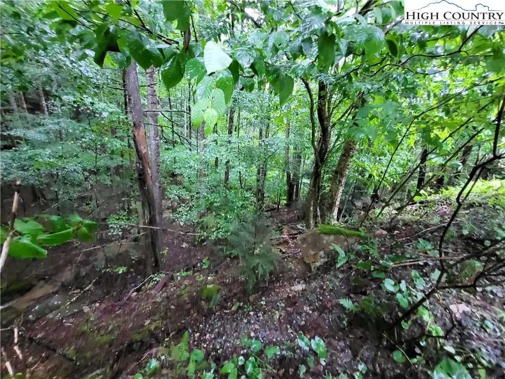 143 Raccoon Road, Beech Mountain, NC 28604 - Image #1