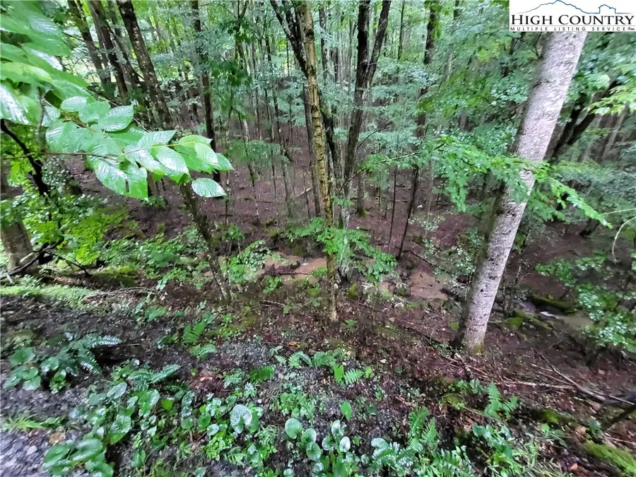 143 Raccoon Road, Beech Mountain, NC 28604 - Image #3