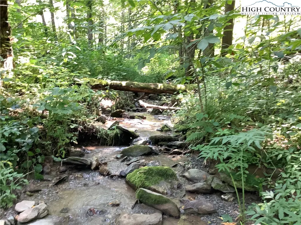 Lot 4 Larkspur Trail, Banner Elk, NC 28604 - Image #1