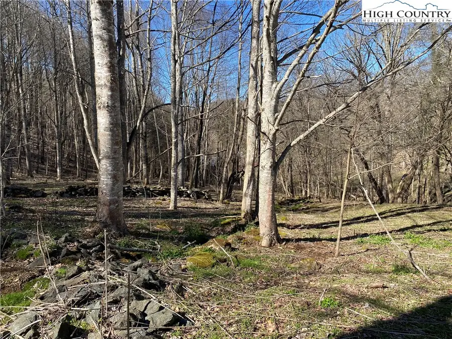 Lot 4 Larkspur Trail, Banner Elk, NC 28604 - Image #3