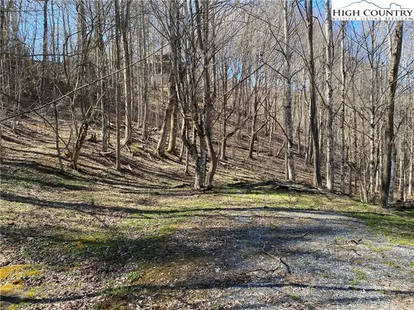 Lot 5 Larkspur Trail, Banner Elk, NC 28604