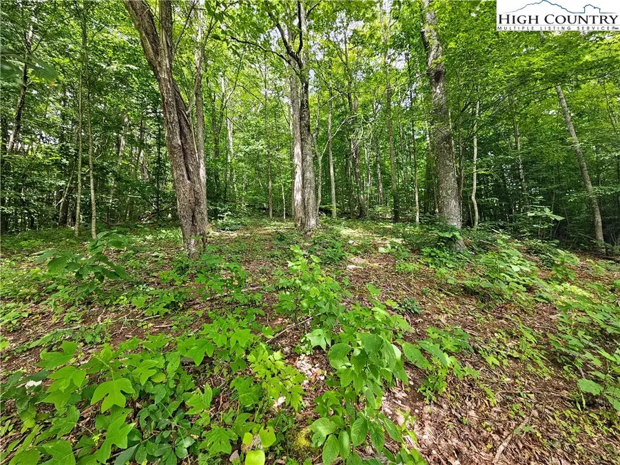 TBD Whispering Breeze Rdg, Todd, NC 28684 - Image #3