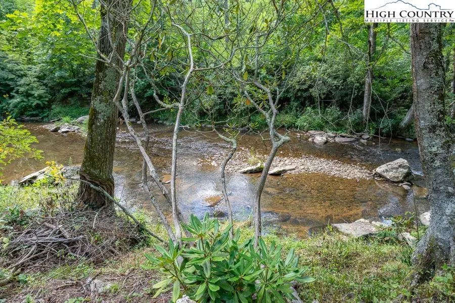 Lot 5 River Haven Drive, Sugar Mountain, NC 28604 - #3
