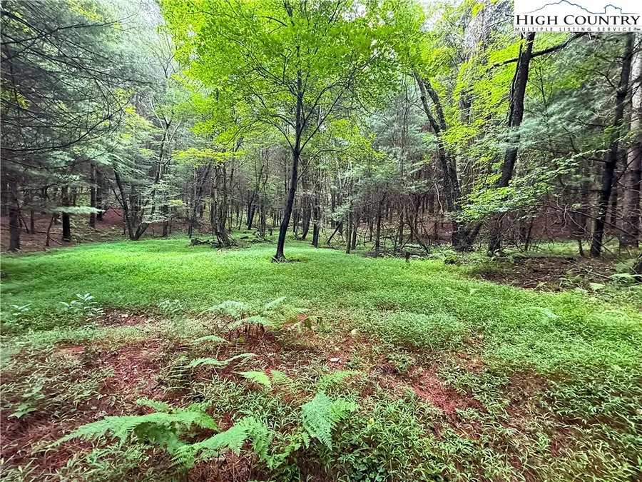 TBD Glade Valley Road, Glade Valley, NC 28627 - Image #3