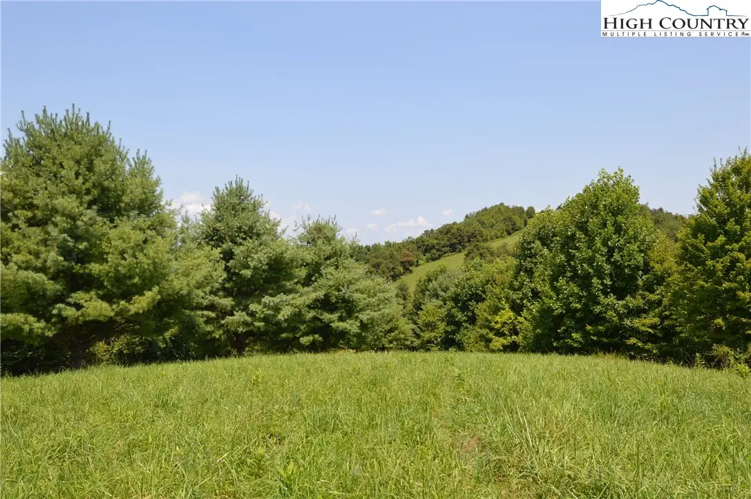 Lot #16 Twin Oaks Mountain Boulevard, Sparta, NC 28675 - Image #1