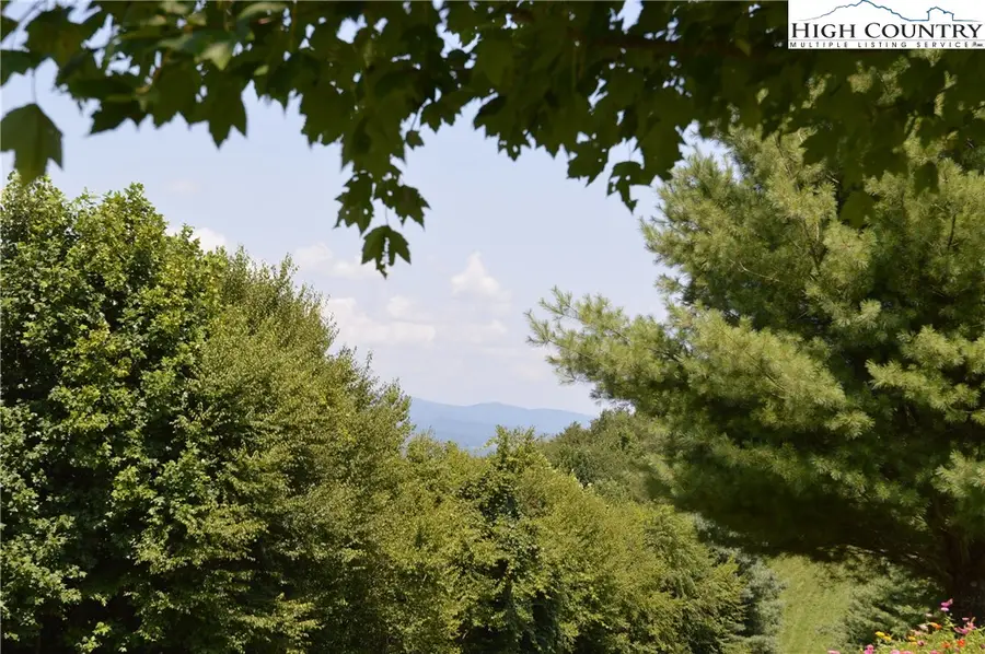 Lot #16 Twin Oaks Mountain Boulevard, Sparta, NC 28675 - Image #3