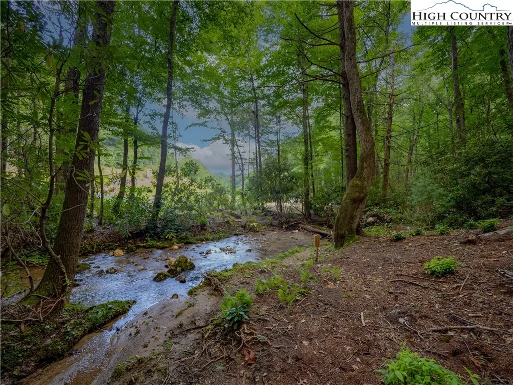Lot 2 Wilderness Reserve Parkway, Deep Gap, NC 28618 - Image #1