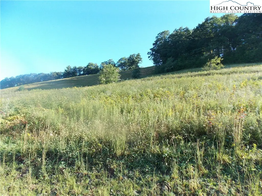 Lot 29 Hartley Knob, Boone, NC 28607 - Image #1