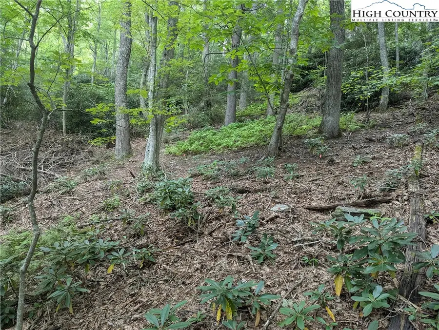 TBD Cottonwood, Boone, NC 28607 - Image #2