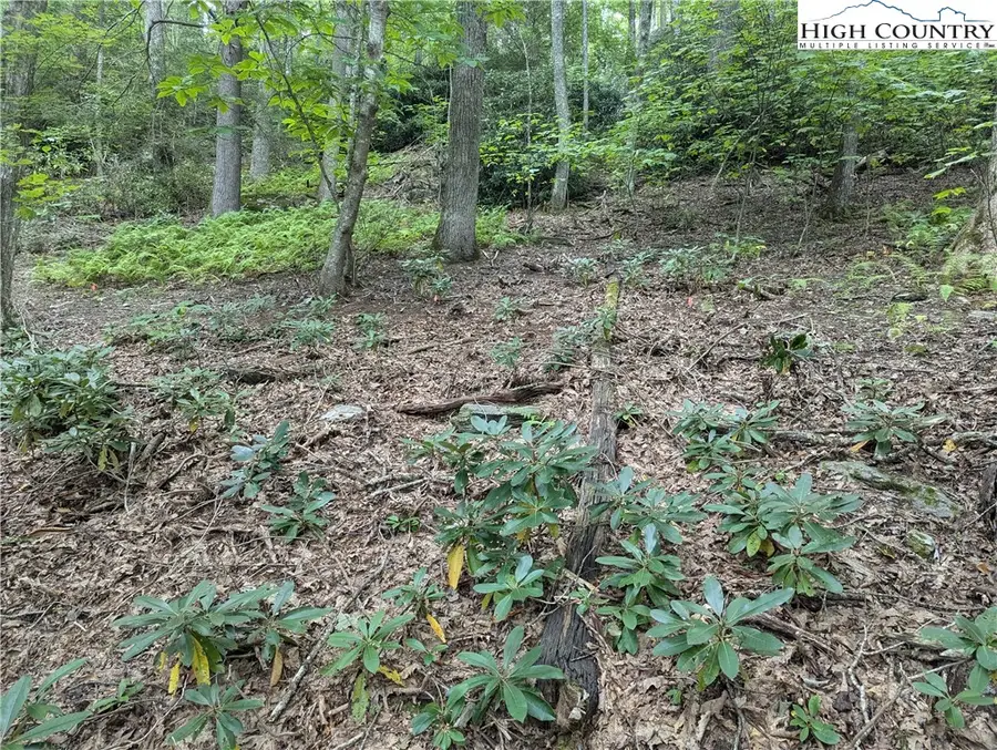 TBD Cottonwood, Boone, NC 28607 - Image #3