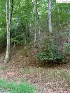 Lot 3 Brightwood Trail, Deep Gap, NC 28618 - Image #3