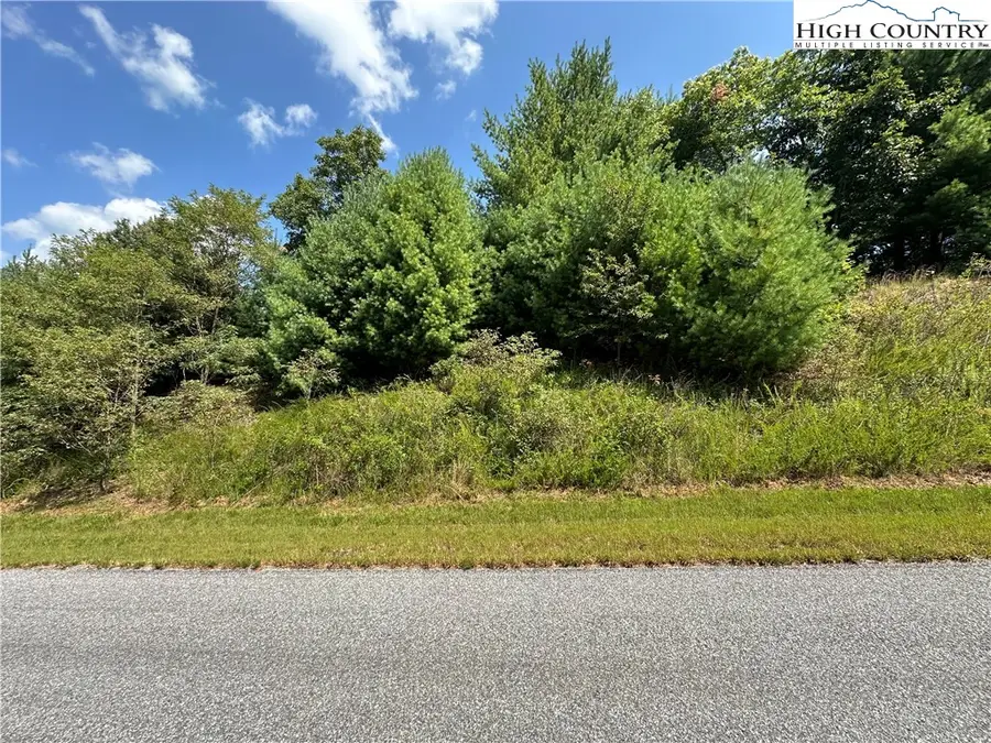 Lot 27E Cascade Run, Purlear, NC 28665 - Image #2