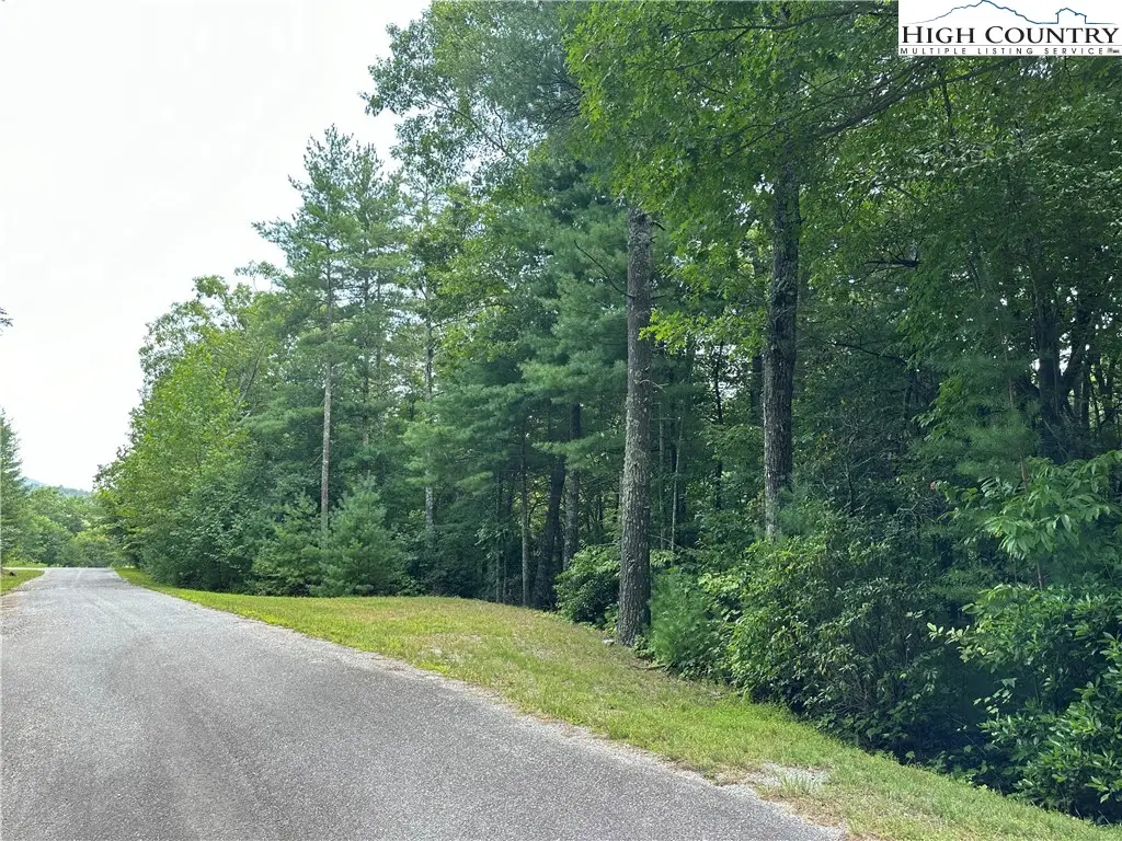 Lot 48E Cascade Run, Purlear, NC 28665 - Image #1