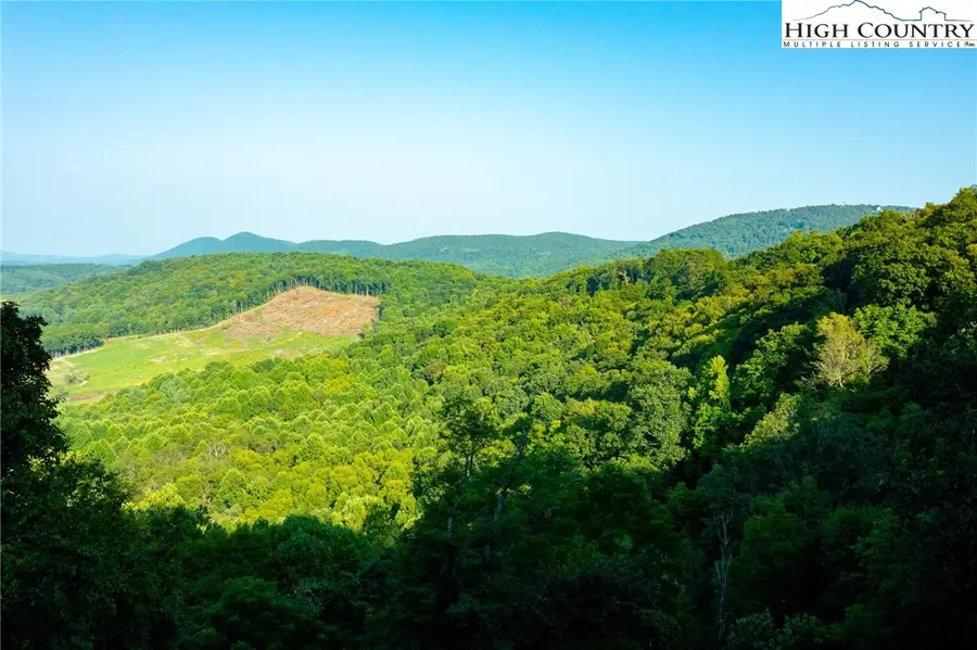 TBD Omega Way, Sparta, NC 28675 - Image #3