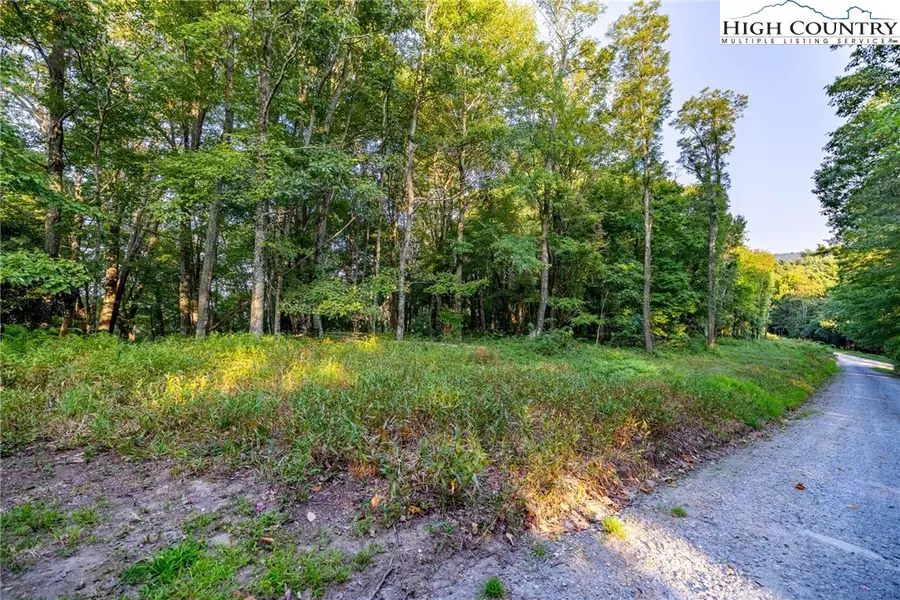 TBD Omega Way, Sparta, NC 28675 - Image #2