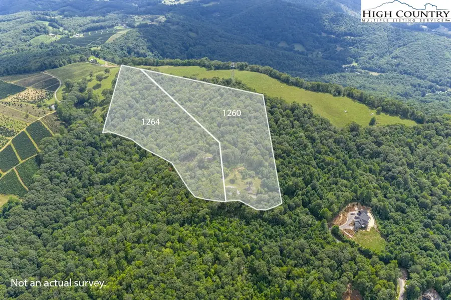 Lot 8 Mountain Laurel Parkway, Newland, NC 28657 - Image #3