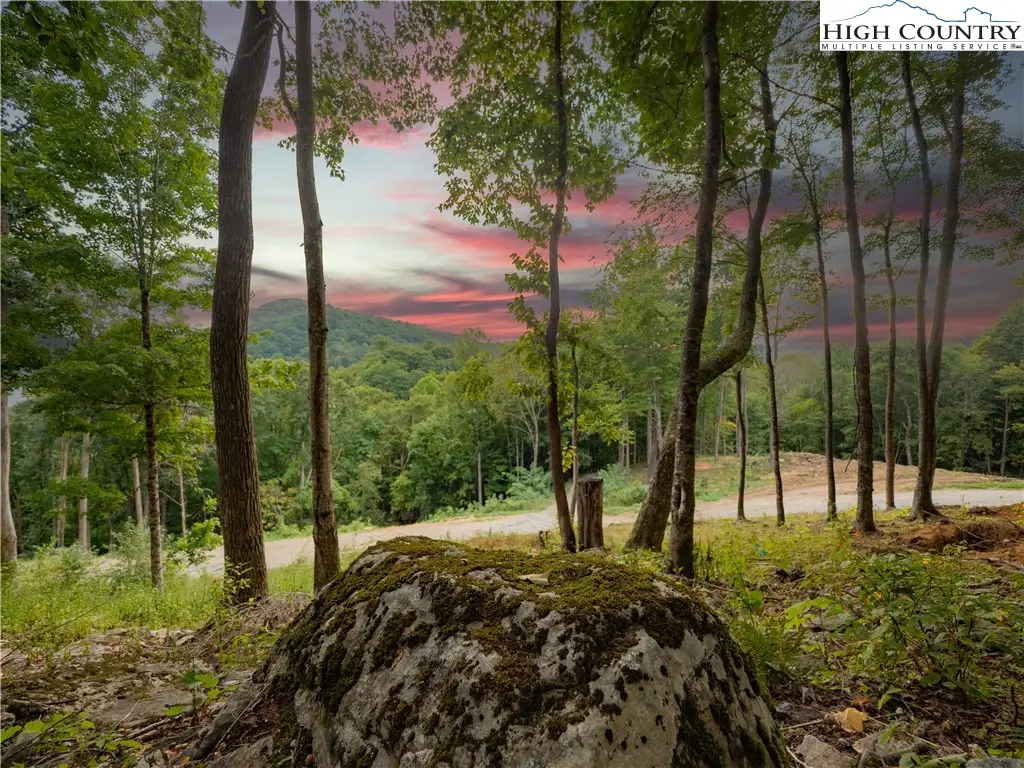 C120 Springwater Lane, Banner Elk, NC 28604 - #1