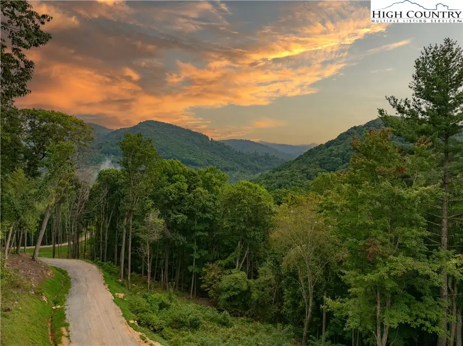 C120 Springwater Lane, Banner Elk, NC 28604 - #3