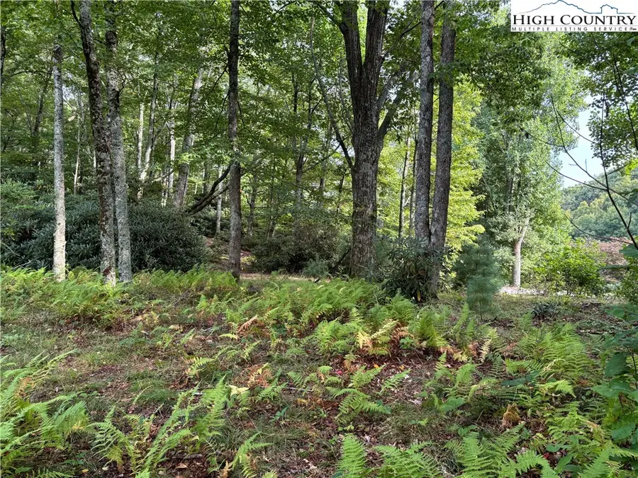 Lot 3 & 4 Fieldstone Hts Drive, Blowing Rock, NC 28605 - Image #2