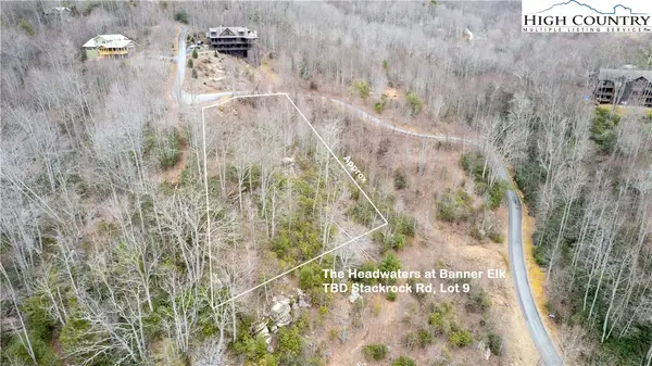 TBD Stack Rock Road #9, Elk Park, NC 28622