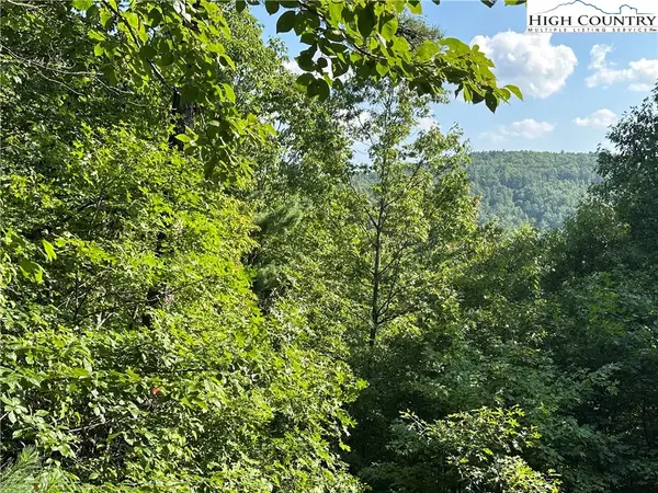Lot 36E Cascade Run, Purlear, NC 28665