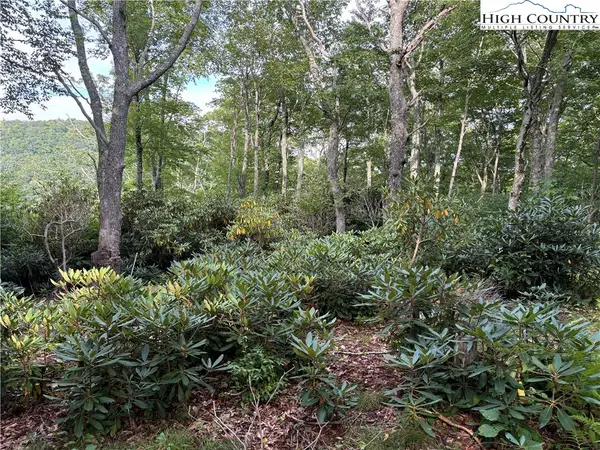 Lot 4 Fieldstone Hts Drive, Blowing Rock, NC 28605