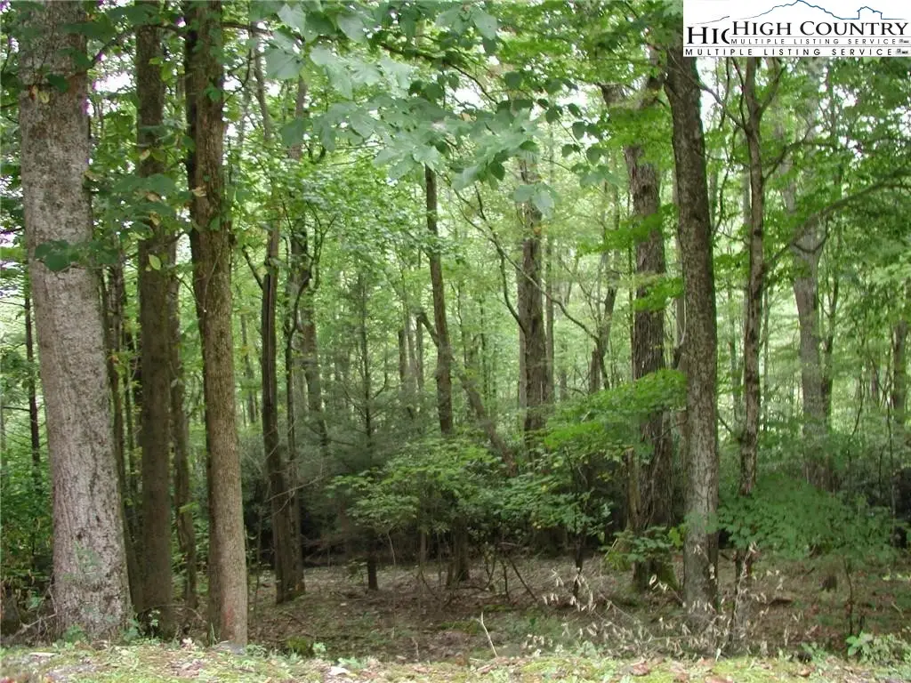 Lot 27 Lost Ridge Trail, Vilas, NC 28692 - Image #1