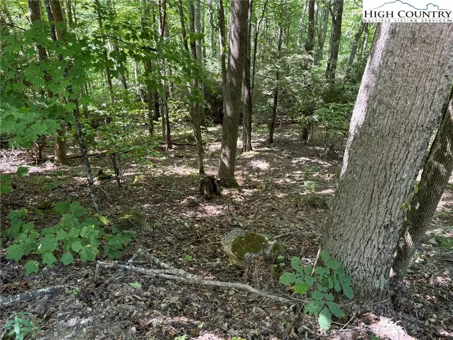 Lot 27 Lost Ridge Trail, Vilas, NC 28692 - Image #2