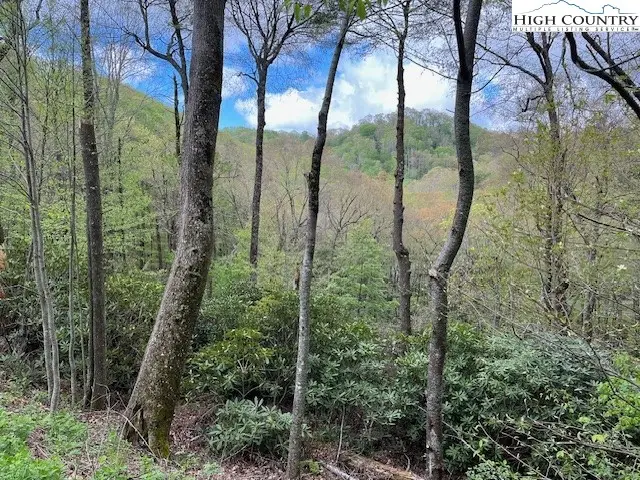129 & 130 Firethorn Trail, Blowing Rock, NC 28605 - Image #2