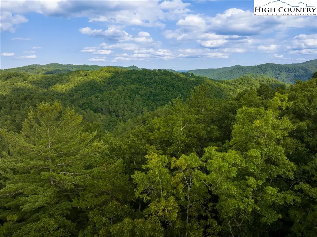 33 Inkberry Drive, Elk, NC 28724 - Image #1