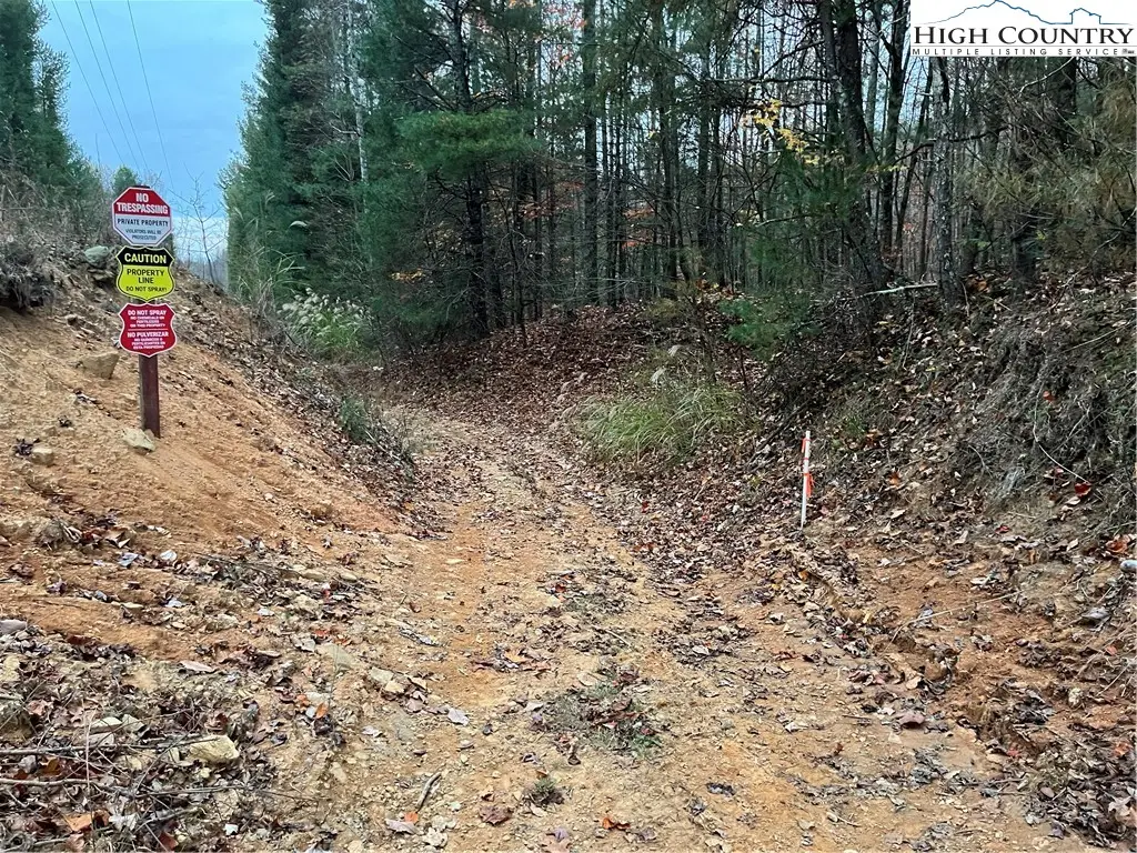 TBD Buckwheat Road, McGrady, NC 28649 - Image #1