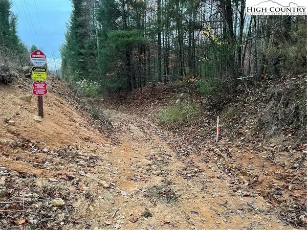 TBD Buckwheat Road, McGrady, NC 28649