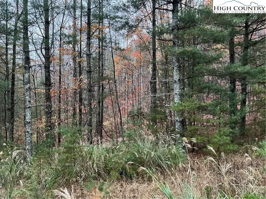 TBD Buckwheat Road, McGrady, NC 28649 - Image #2