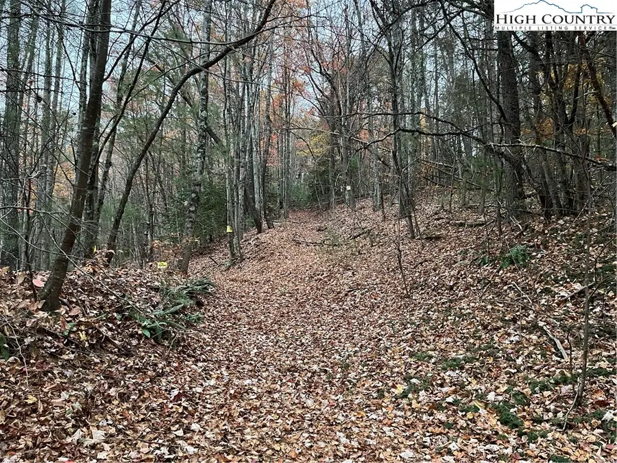 TBD Buckwheat Road, McGrady, NC 28649 - Image #3