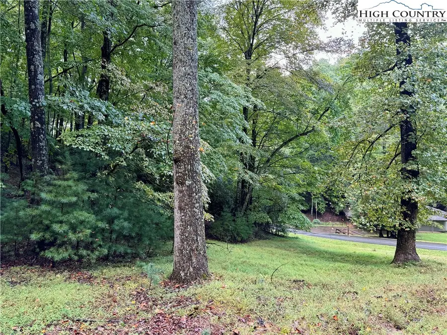 TBD Powder Horn Mtn/horseshoe Rdg W Road, Deep Gap, NC 28618 - Image #3