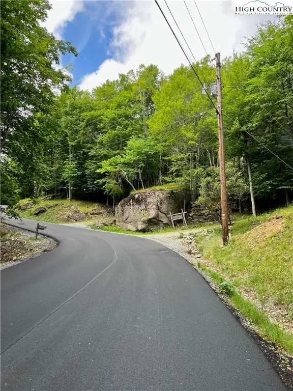 162 Hornbeam Road, Beech Mountain, NC 28604 - Image #2