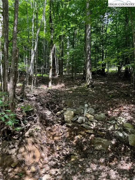 162 Hornbeam Road, Beech Mountain, NC 28604 - Image #3