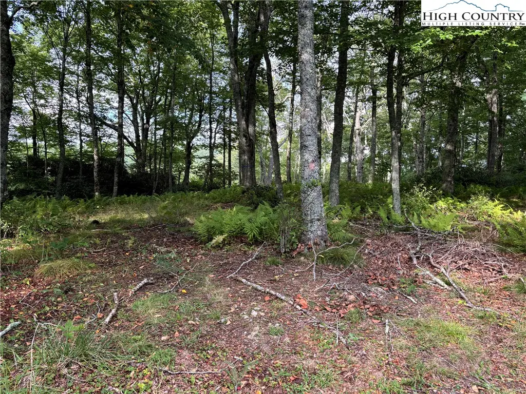 Lot 3 Fieldstone Hts Drive, Blowing Rock, NC 28605 - Image #1