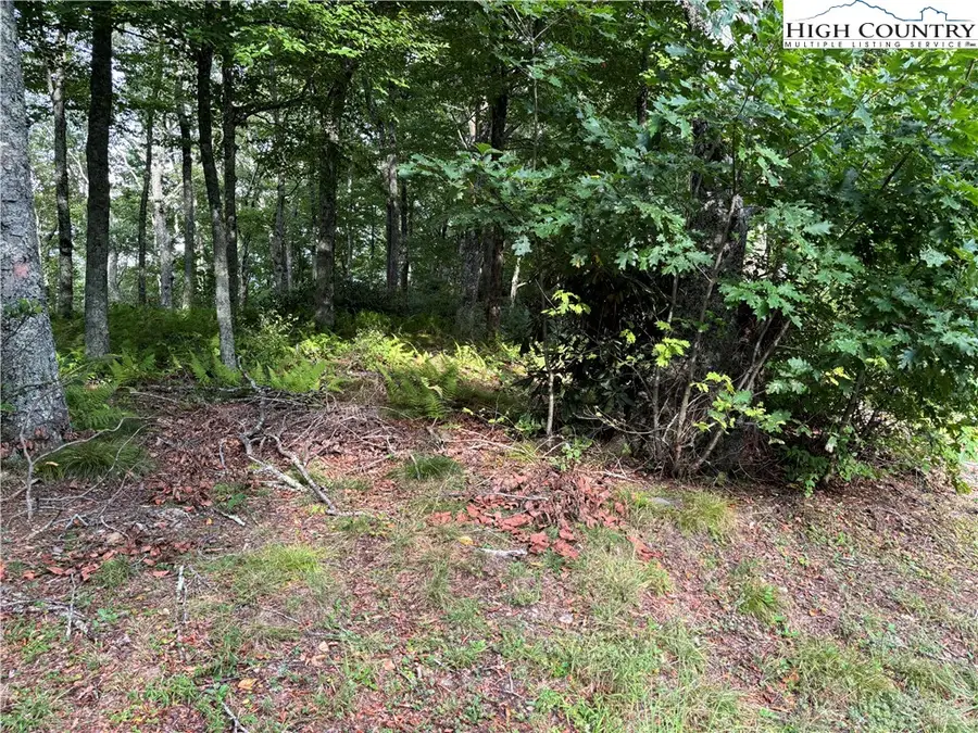 Lot 3 Fieldstone Hts Drive, Blowing Rock, NC 28605 - Image #2