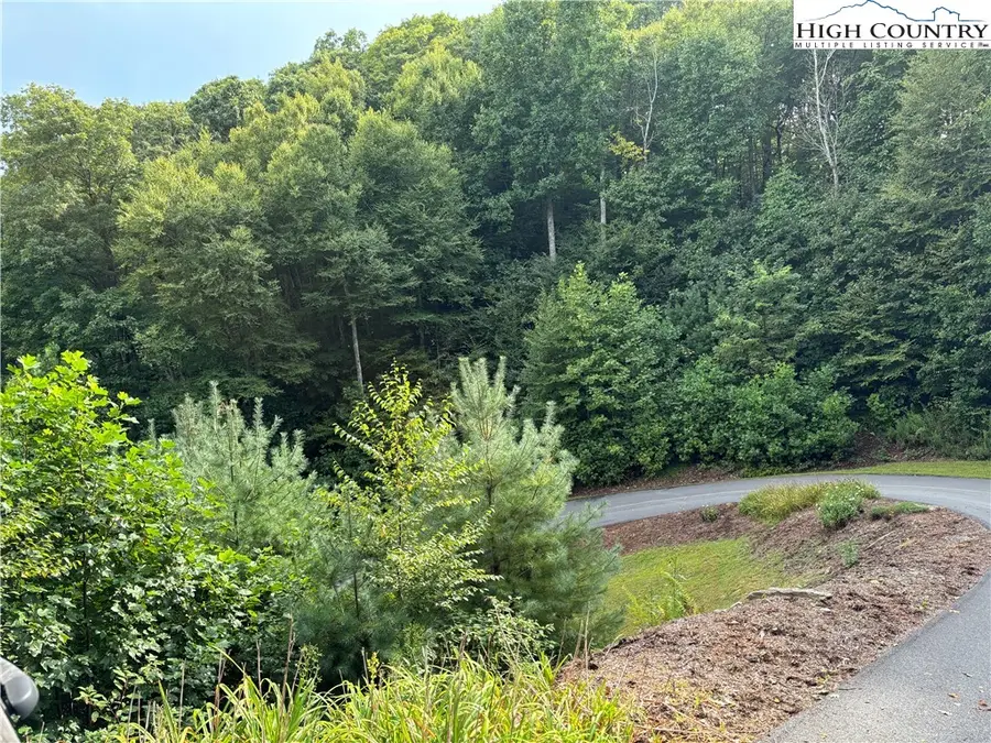 Lot 1 Fieldstone Hts Drive, Blowing Rock, NC 28605 - Image #2