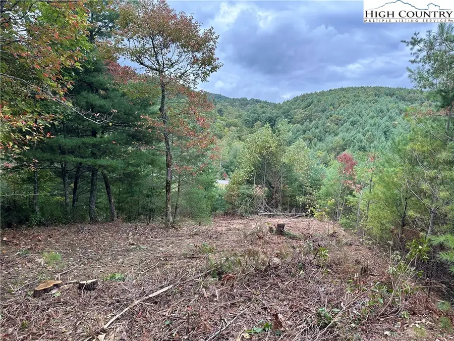 Lot 26E Cascade Run, Purlear, NC 28665 - Image #2