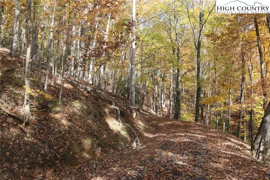 Lot 26 Dawn Warwick Road, Fleetwood, NC 28626 - Image #2