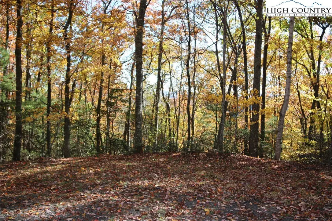 Lot 7 Charlie Warwick Road, Fleetwood, NC 28626 - Image #1