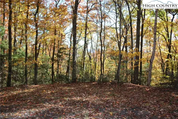 Lot 7 Charlie Warwick Road, Fleetwood, NC 28626