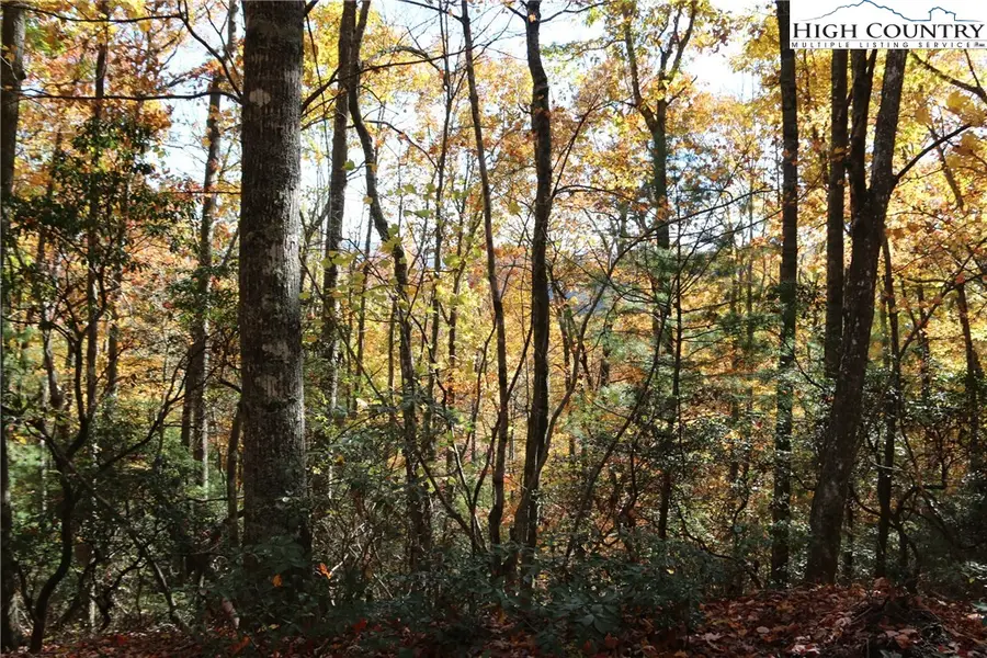 Lot 7 Charlie Warwick Road, Fleetwood, NC 28626 - Image #2