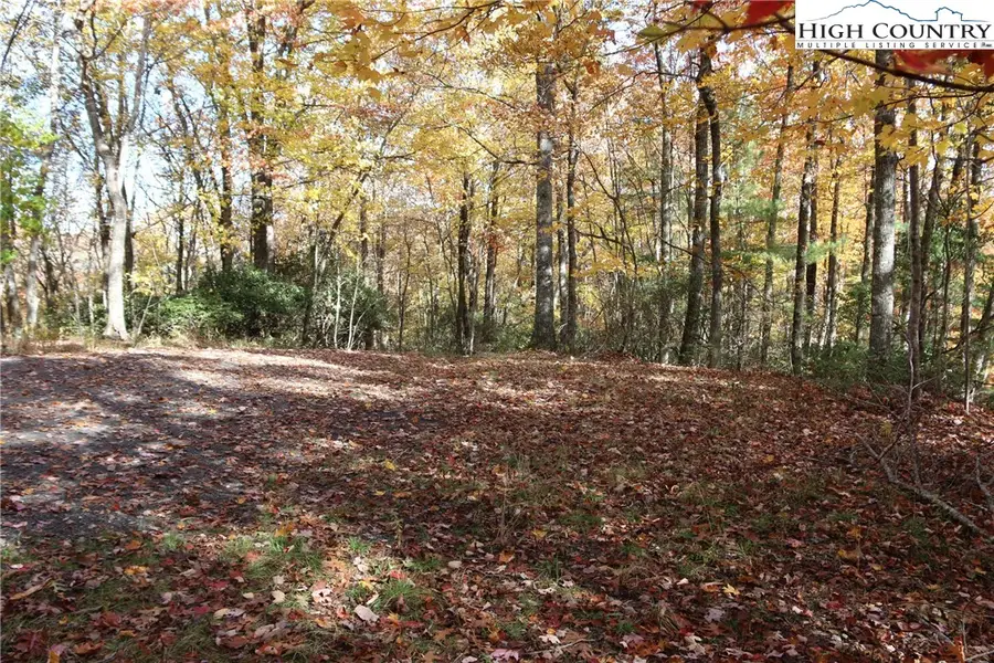 Lot 7 Charlie Warwick Road, Fleetwood, NC 28626 - Image #3