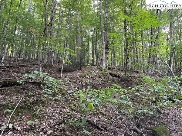 126 Arrowhead Road, Beech Mountain, NC 28604