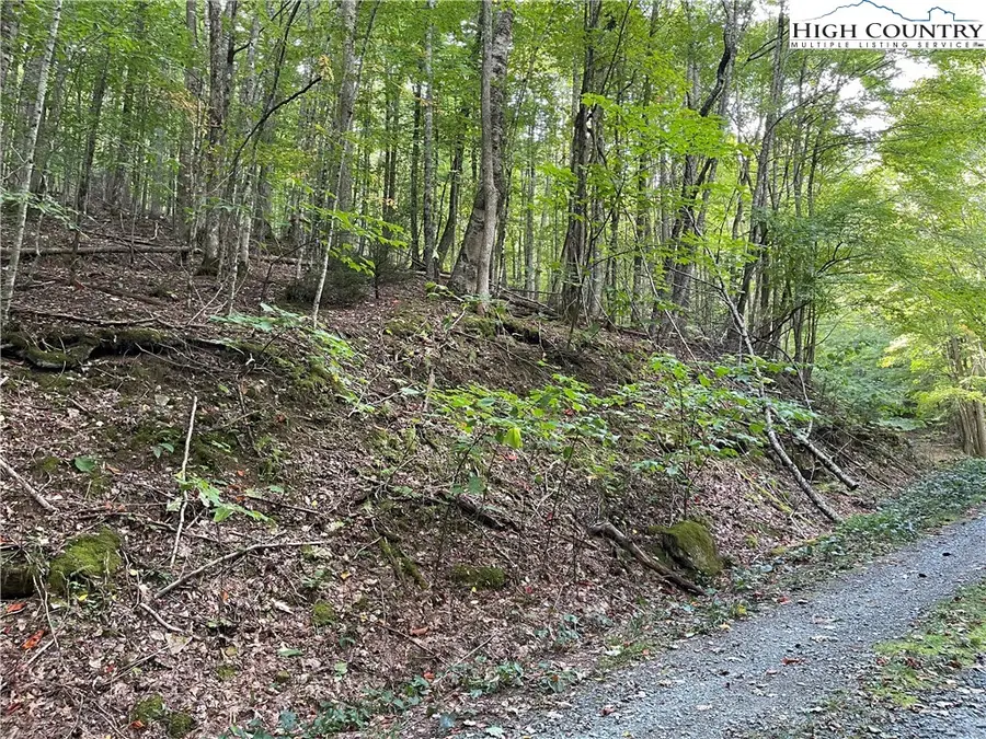 126 Arrowhead Road, Beech Mountain, NC 28604 - Image #3